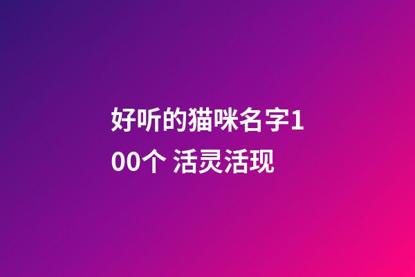 好听的猫咪名字100个 活灵活现